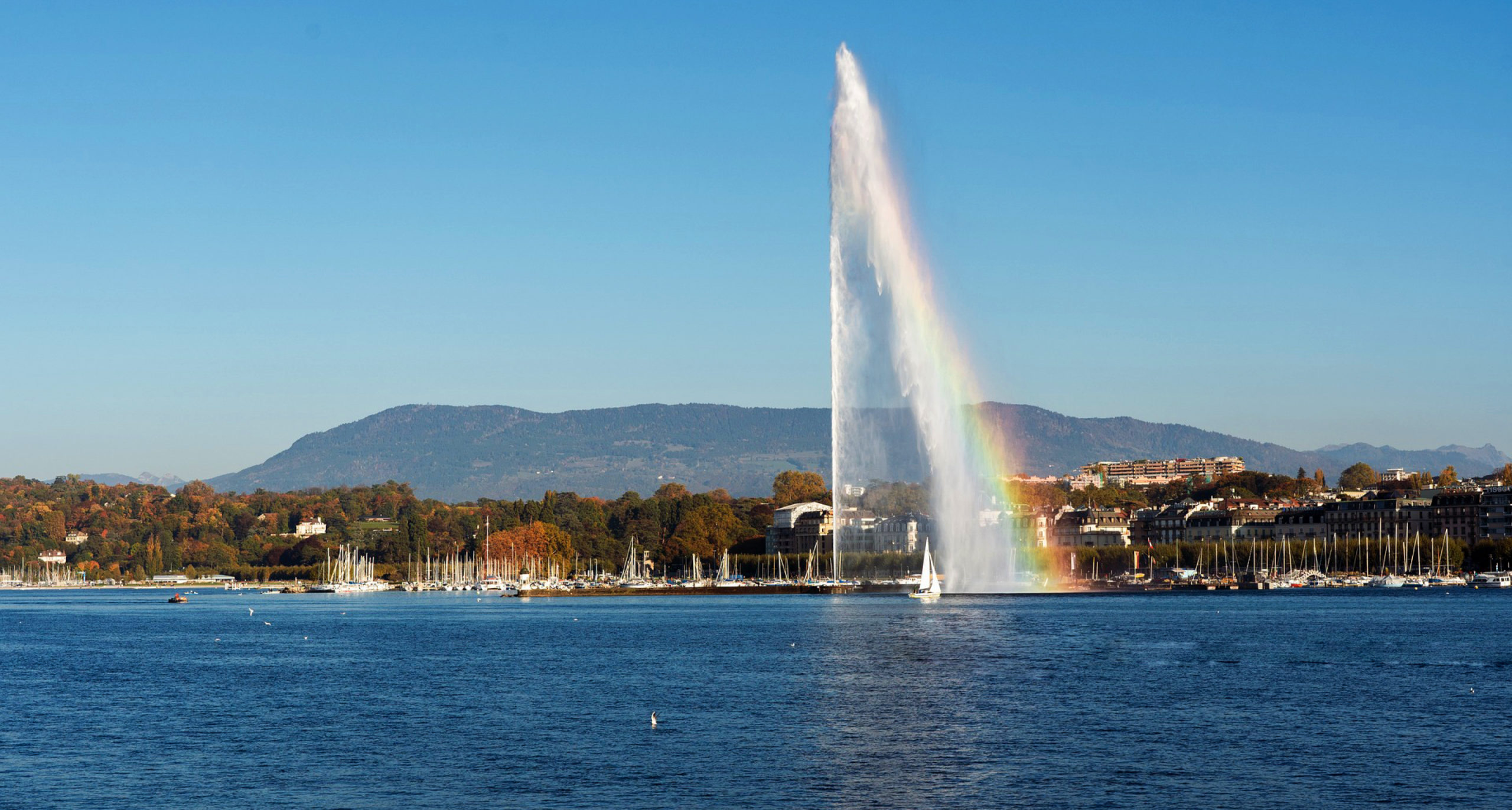 Lac leman geneve jet deau